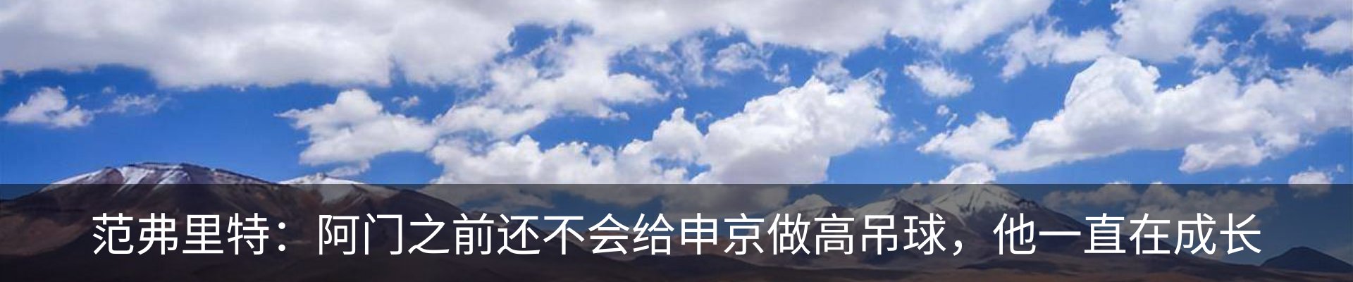 新闻动态